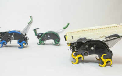 Robots inspirados en las termitas