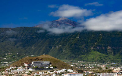 El coronavirus afecta a la plaga de termitas en Tenerife