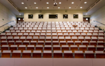 Un salón de actos de un colegio de Oviedo invadido por una plaga de termitas