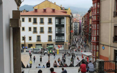 ¿Hay algún protocolo ante una plaga de termitas en un casco urbano?