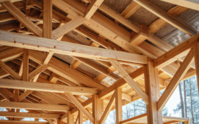 Elementos de una vivienda más atacados por termitas